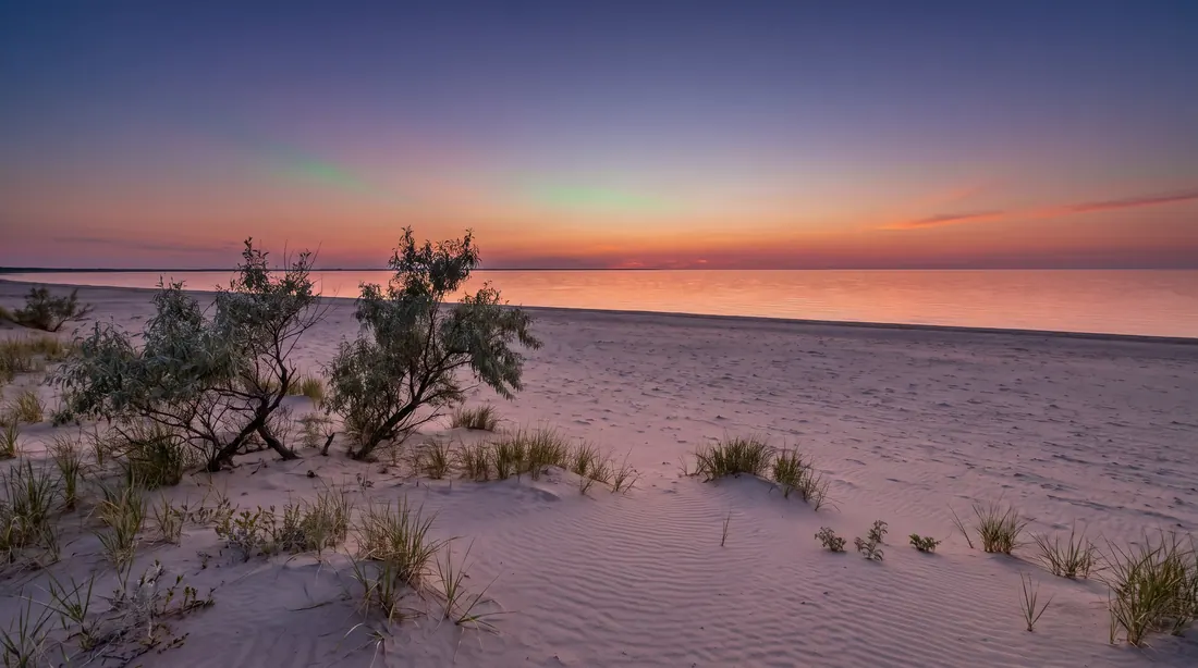 A sandy lakeshore at golden hour with dune grass and willows